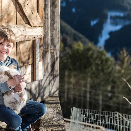 Bio Bauernhof Holzegghof In Zell Am Apartament