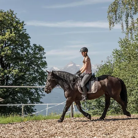 Bio Bauernhof Holzegghof In Zell Am * Erlberg