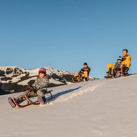 Bio Bauernhof Holzegghof In Zell Am *