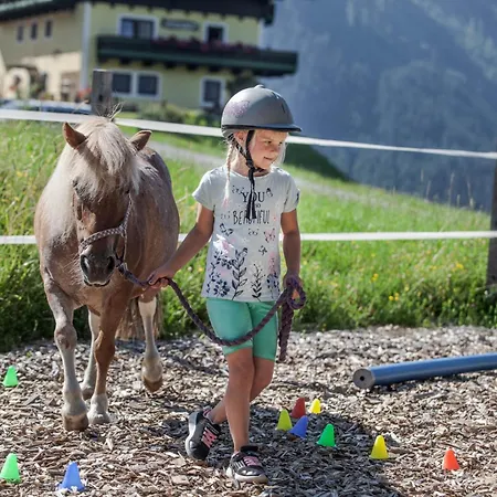 Bio Bauernhof Holzegghof In Zell Am Appartement