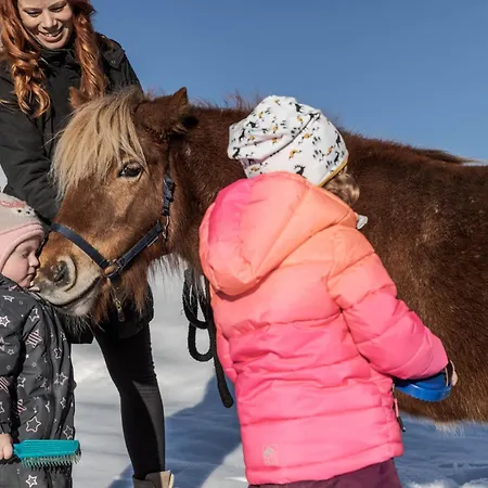 Bio Bauernhof Holzegghof In Zell Am *