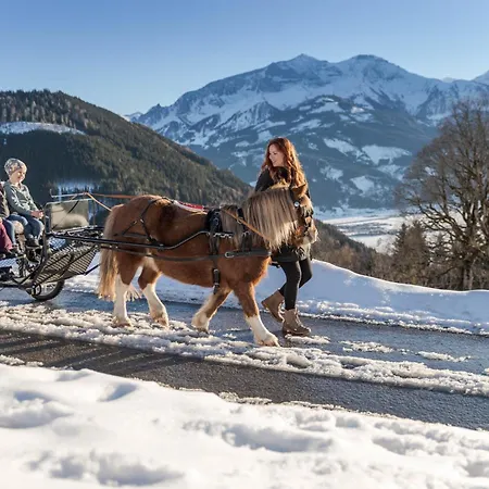 Appartement Bio Bauernhof Holzegghof In Zell Am *
