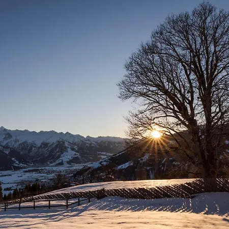 Bio Bauernhof Holzegghof In Zell Am *