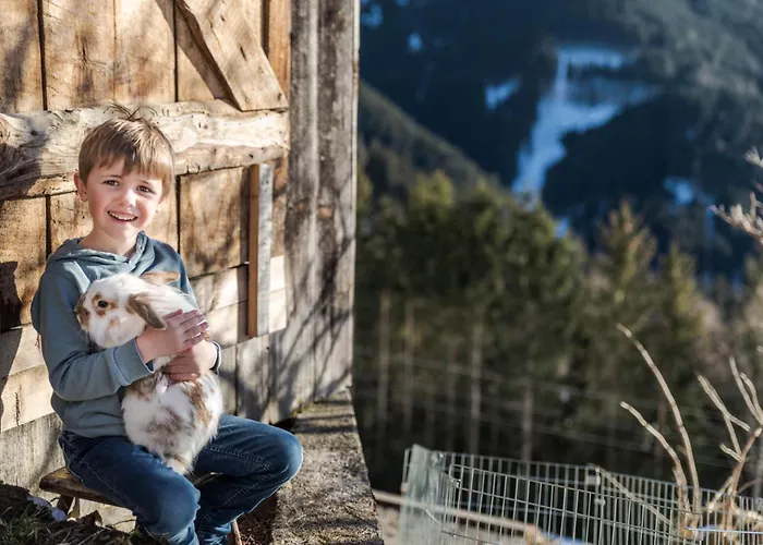 Bio Bauernhof Holzegghof In Zell Am Apartament