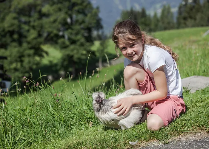 Bio Bauernhof Holzegghof In Zell Am