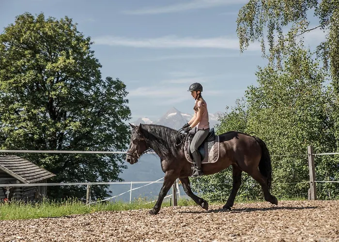 Bio Bauernhof Holzegghof In Zell Am * Erlberg