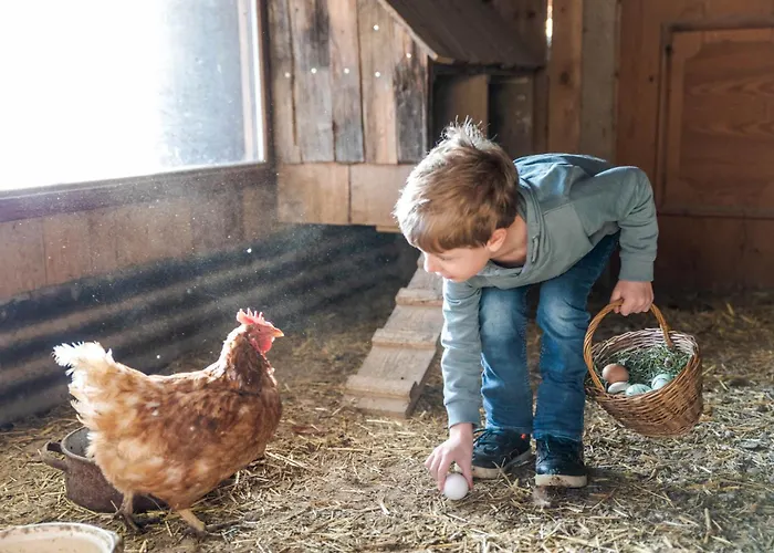 Bio Bauernhof Holzegghof In Zell Am * Erlberg