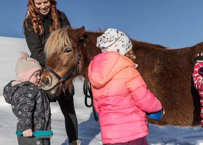 Bio Bauernhof Holzegghof In Zell Am *