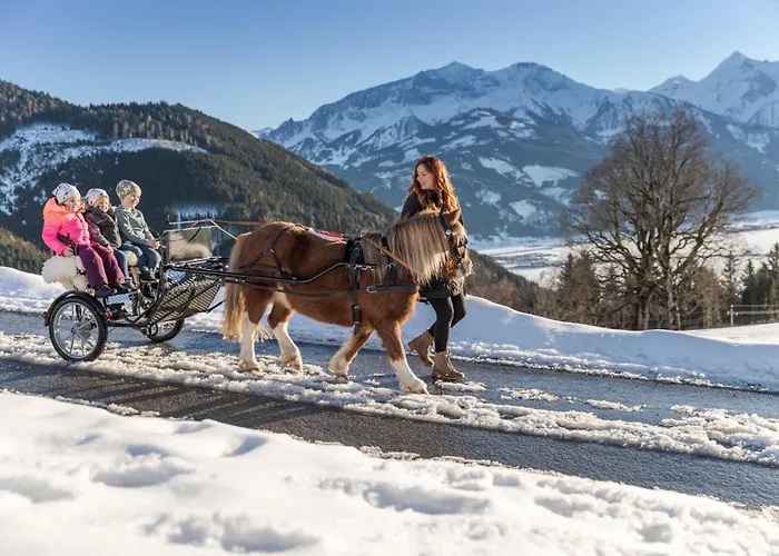 Apartament Bio Bauernhof Holzegghof In Zell Am *