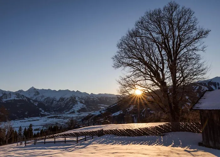 Bio Bauernhof Holzegghof In Zell Am *